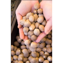 Noix de Muscade Entière – Épice Naturelle & Aromatique | Comptoir Familial