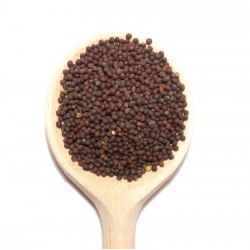 Grains de Moutarde brune – Réaliser votre propre moutarde maison | Comptoir Familial