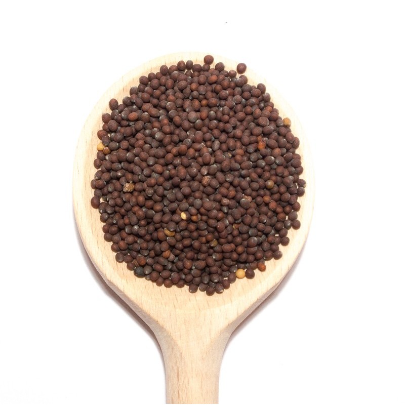 Grains de Moutarde brune – Réaliser votre propre moutarde maison | Comptoir Familial Grains de Moutarde brune – Réaliser votre propre moutarde maison | Comptoir Familial