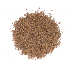 Carvi en Grains – Saveur Chaleureuse & Aromatique | Le Comptoir Familial
