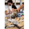 Fève de Tonka – Saveur Intense & Vanillée | Le Comptoir Familial