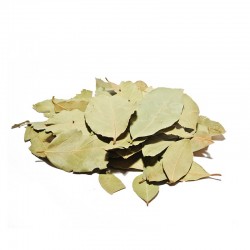 Laurier en Feuilles – Herbe Aromatique pour Bouillons et Plats | Comptoir Familial