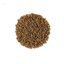 Cumin en Grains – Saveur Chaleureuse & Épicée | Le Comptoir Familial