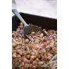 Boutons de Rose d’Iran – Saveur Florale & Délicate | Le Comptoir Familial