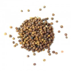 Poivre de Kerala