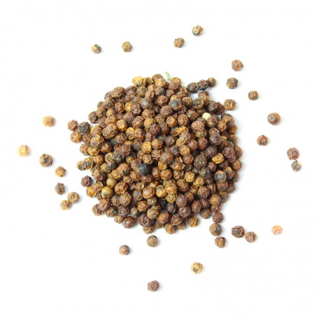 Poivre de Kerala