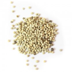 Poivre Blanc de Malabar – Saveur de Cèdre & Piquant | Comptoir Familial