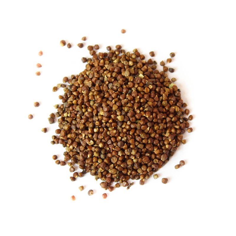 Poivre de Guinée – Épice Rare & Exotique aux Notes Chaudes | Comptoir Familial Poivre de Guinée – Épice Rare & Exotique aux Notes Chaudes | Comptoir Familial