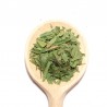 Estragon – Herbe Aromatique pour Sauces et Plats Fins | Comptoir Familial