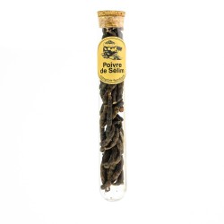 Poivre de Sélim – Épice Africaine Sauvage & Aromatique | Comptoir Familial